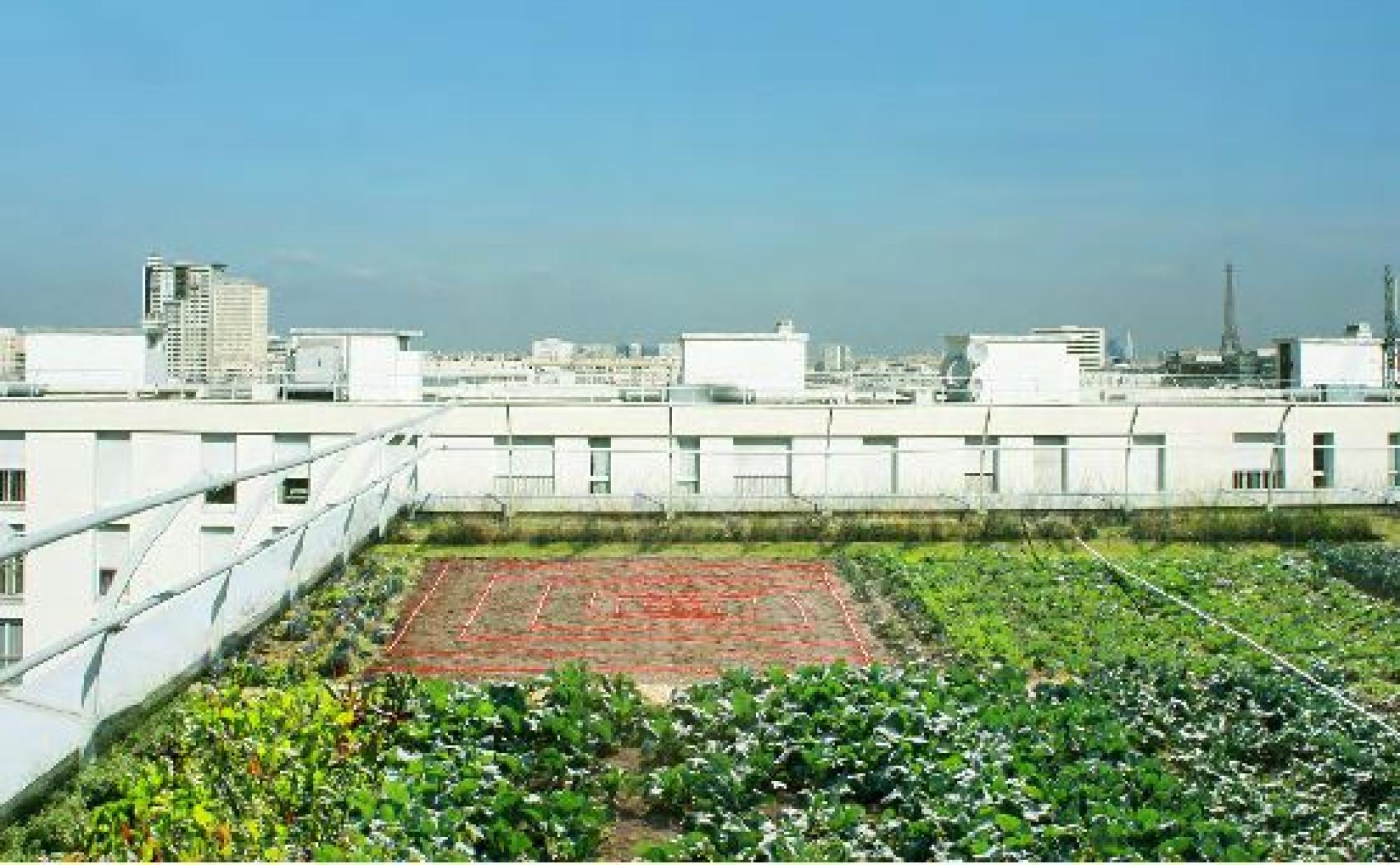 Densification rue Didot