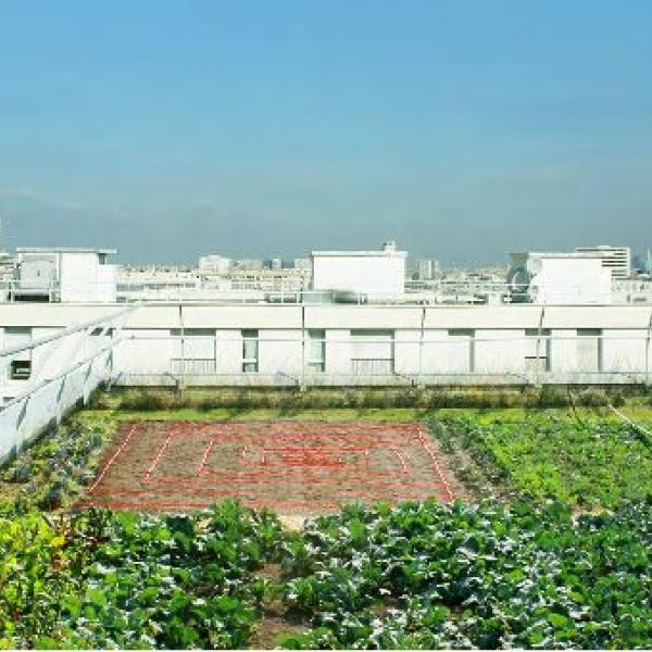 Densification rue Didot