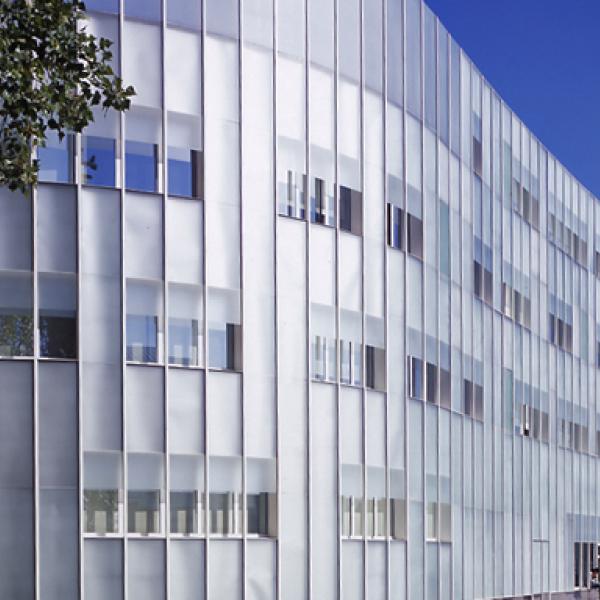 Université Paris 8